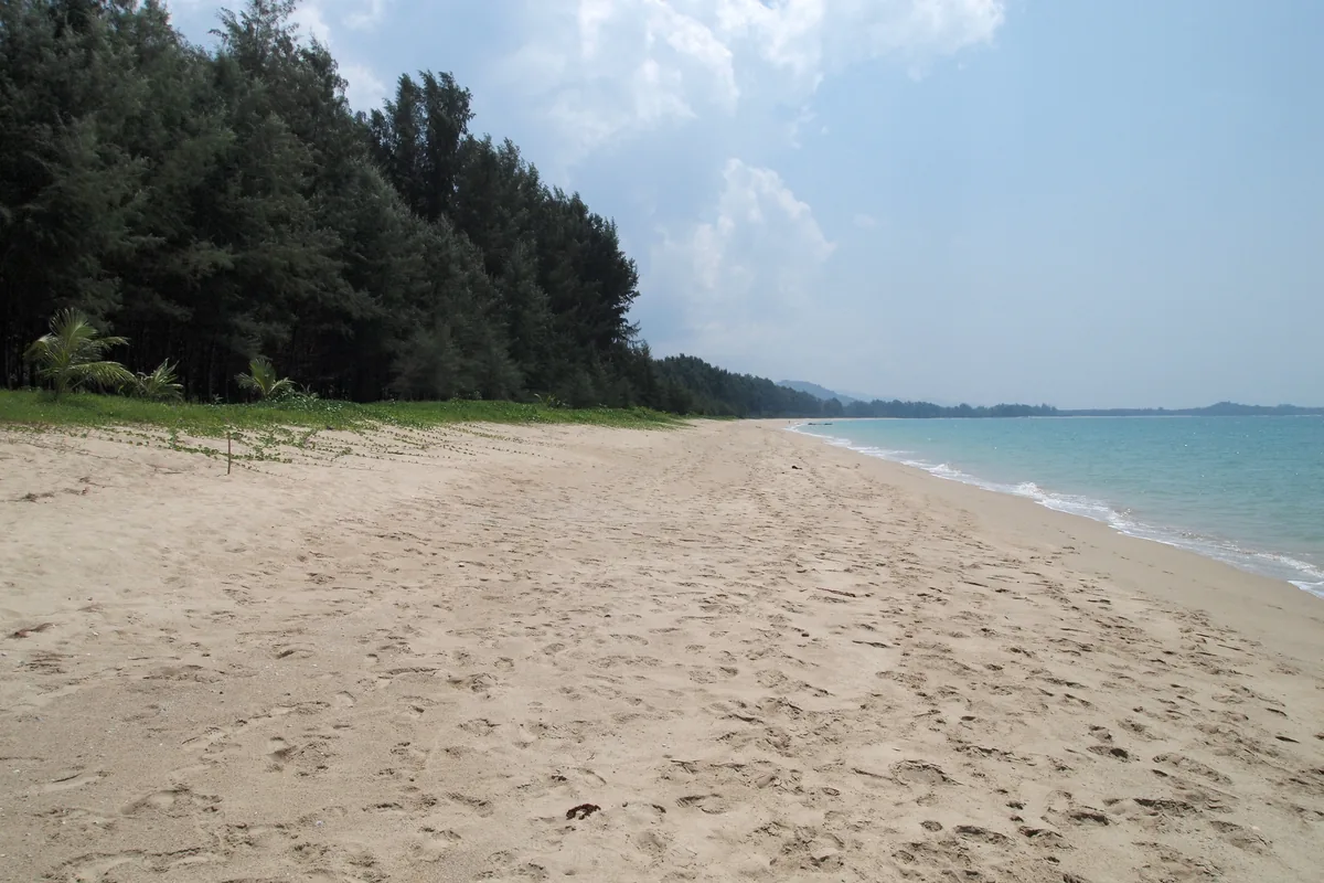 Wide sandy beach beside blue water and trees in Khao Lak–Lam Ru National Park
