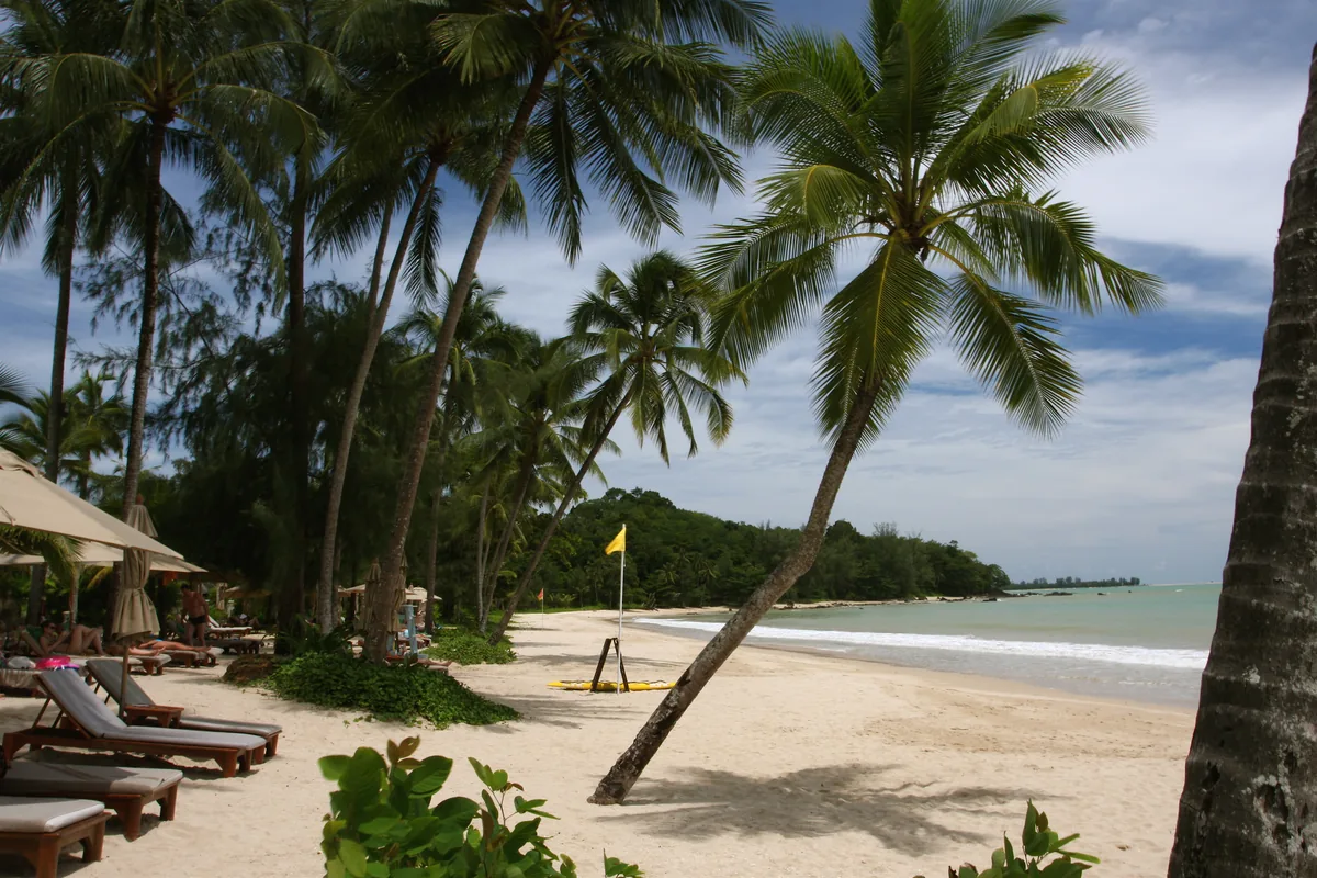 Leaning palms above the Pak Weep shoreline with beach loungers at the edge