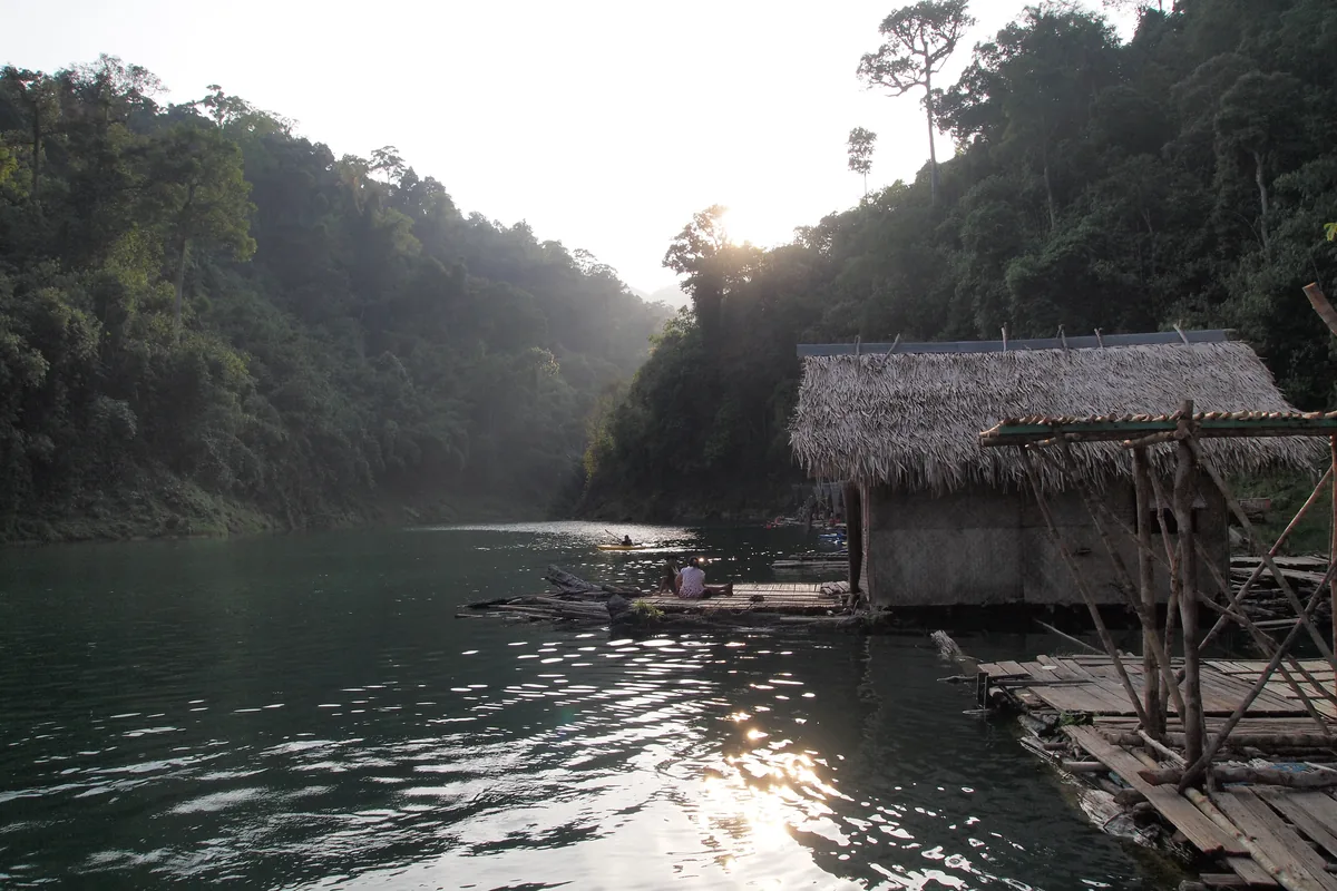 Thatched floating house and bamboo platforms beside a forested inlet on Cheow Lan Lake