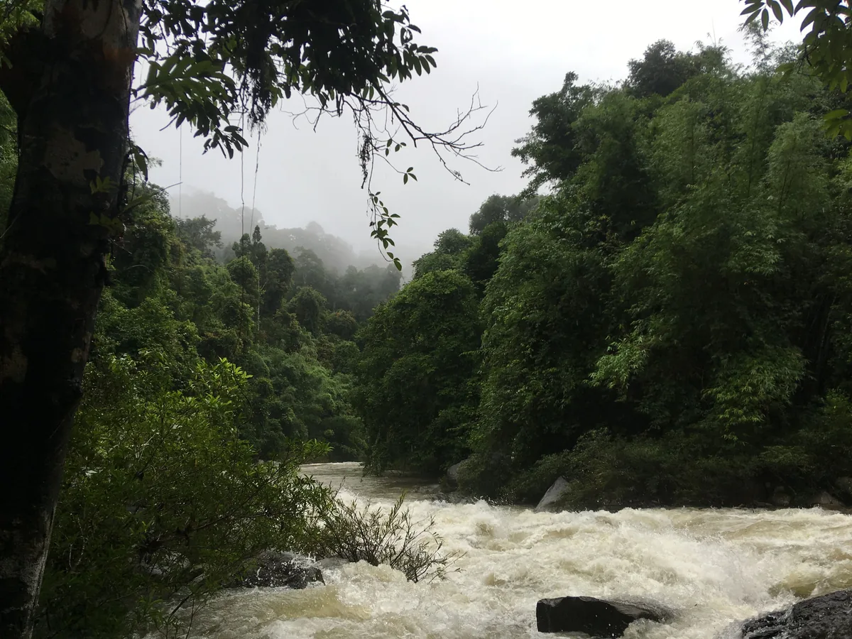 Fast-flowing river below misty forested slopes in Khao Sok National Park
