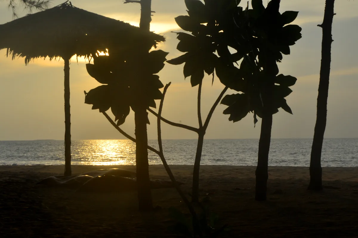 Sunset reflected in the sea beyond trees and a beach umbrella on Ko Kho Khao