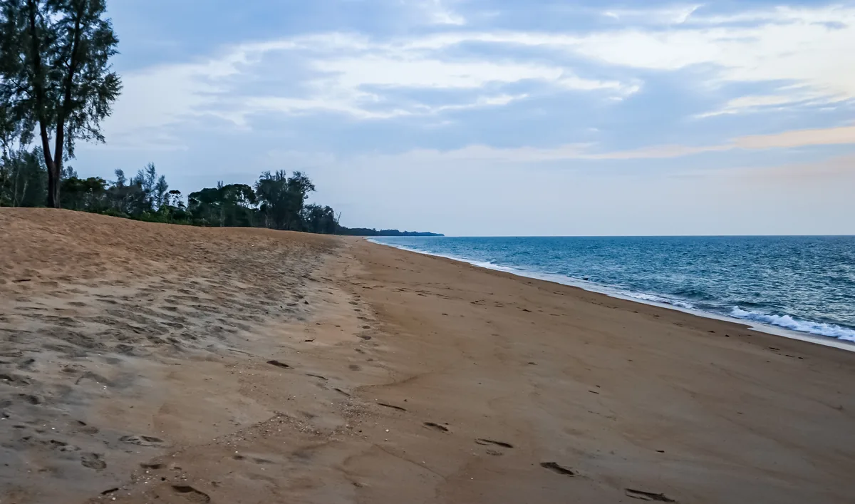 An open sandy shore with coastal trees and blue water on Ko Phra Thong