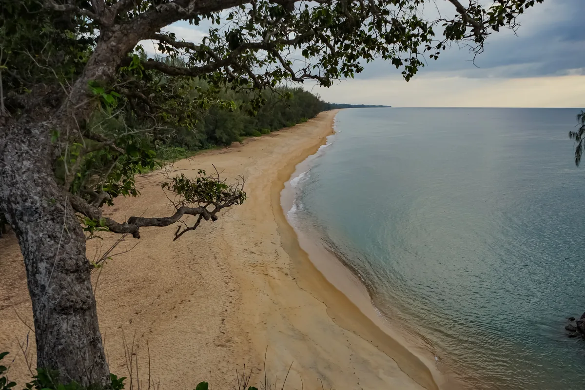 A tree framing a quiet curved beach on Ko Phra Thong
