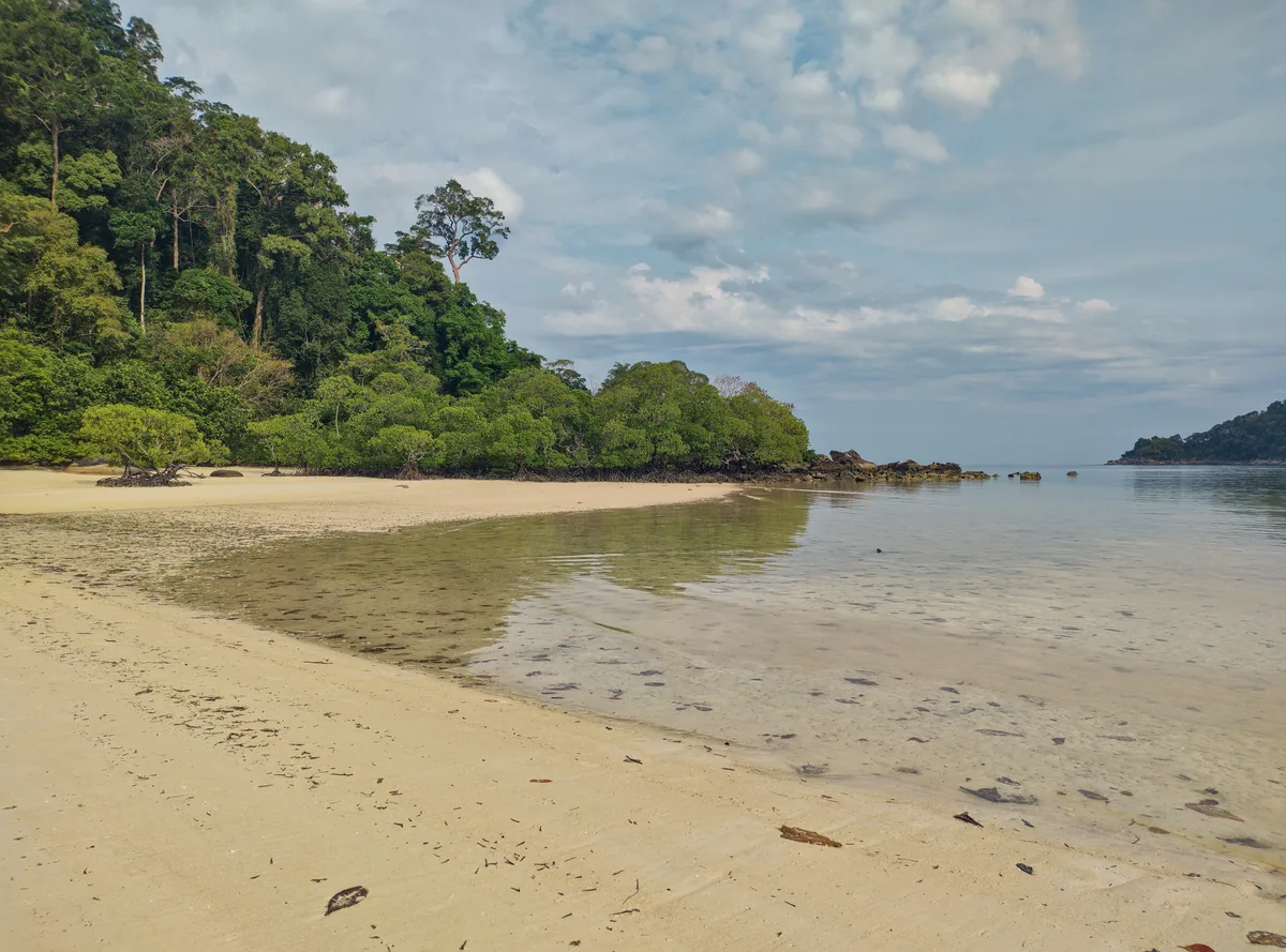 Sandy beach and shallow water beside forest on North Surin Island