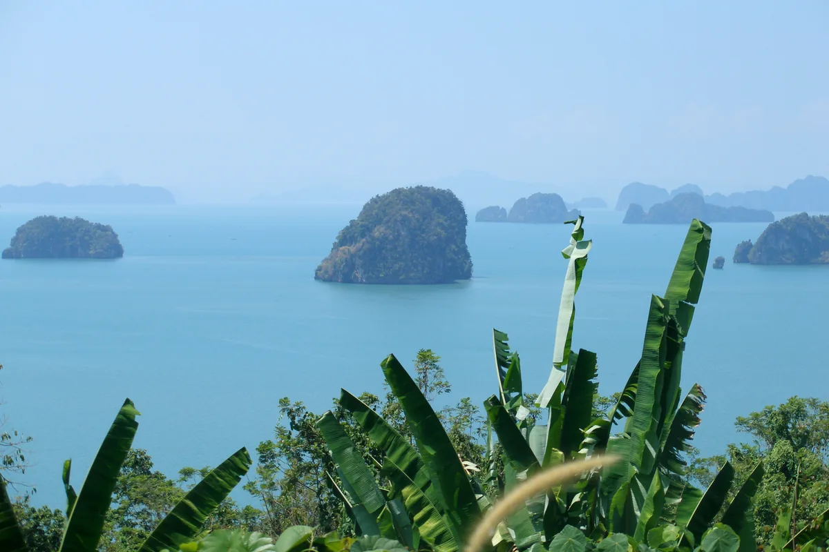 Forested limestone islands across Phang Nga Bay with broad green leaves in the foreground